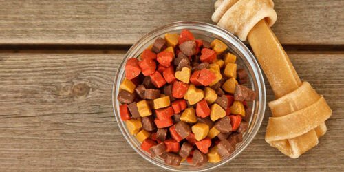 Dry Dog Foods – Ingredients Used and Their Benefits