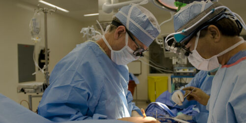 Gastric Sleeve Surgery – Procedure, Benefits, and Cost