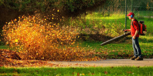 Planning on buying a leaf blower? Here’s what you need to know
