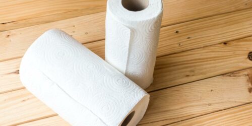 The Importance of Using Paper Towels