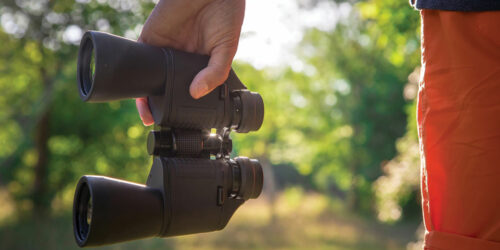 3 best binoculars available online