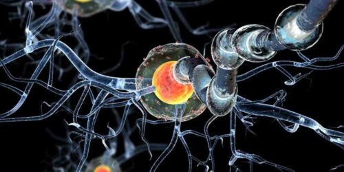 A Few Things to Know about Huntington’s Disease