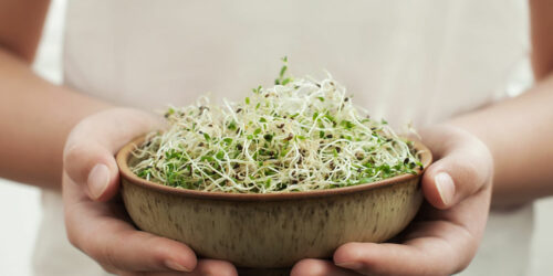 Foods to eat and avoid to manage lupus