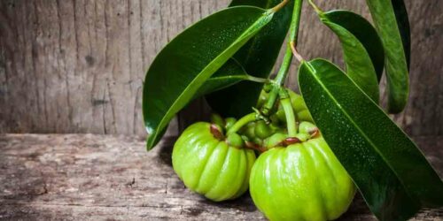 Garcinia – Its Proposed Benefits and Side Effects