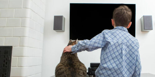 Great TVs above 40 inches to choose from