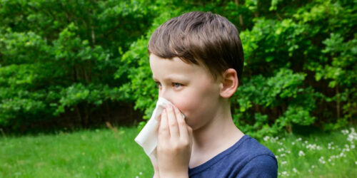 Simple Home Remedies for Pollen Allergy