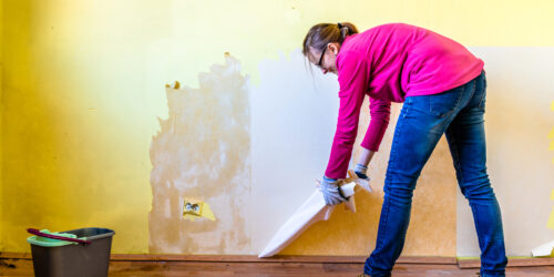 Water Damage And Restoration Services – Things To Know