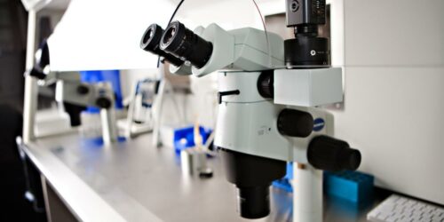 5 things you must know about In Vitro Fertilization