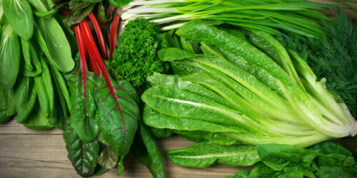 Everything to Learn About a Food Regime with Sjogren’s Syndrome