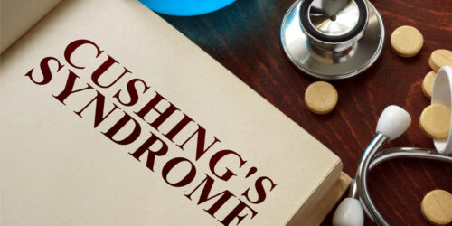 Cushing’s Disease in Dogs – Symptoms, Diagnosis, and Management
